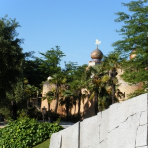 DLP66