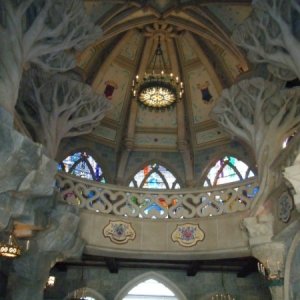DLP67