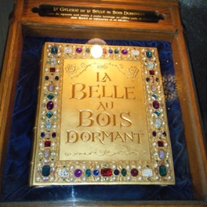 DLP68
