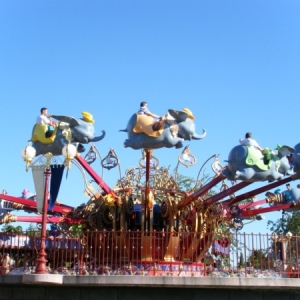 DLP69