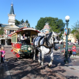 DLP75