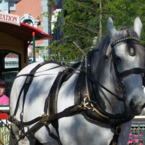 DLP76