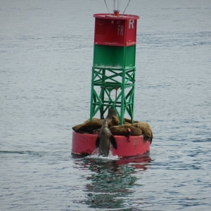 Seals