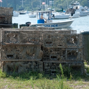 Crab_Traps