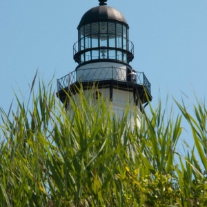 looking_up_2
