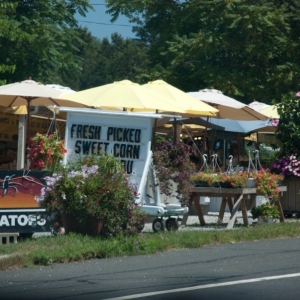 farmstand