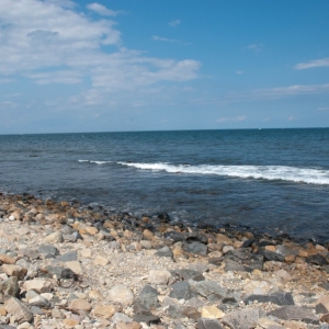 horizon_2
