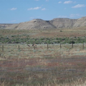 Flaming Gorge