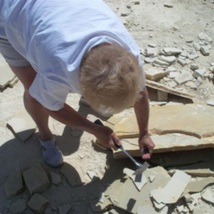 Fossil Hunting