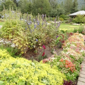 Media 'DSC00595' in category 'Day 4 - Skagway'