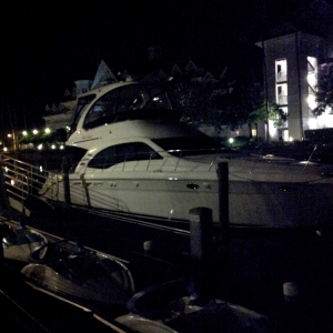 Marina at night