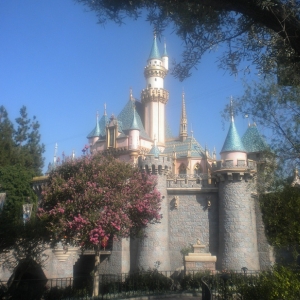 Sleeping Beauty's Castle