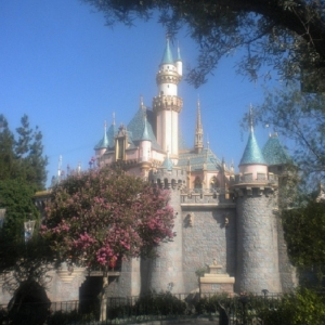 Sleeping Beauty's Castle