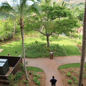 Aulani-Standard-View-Room-59