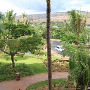 Aulani-Standard-View-Room-60