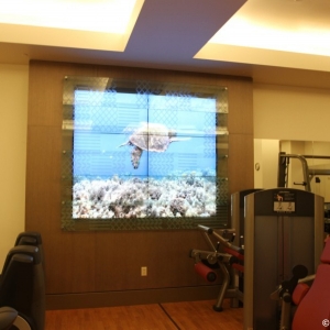 Mikimiki-Fitness-Center-19