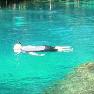 Manatee Springs