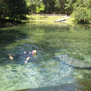 Manatee Springs
