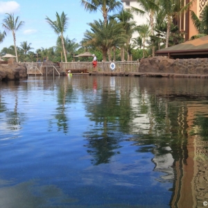Media 'Rainbow-Reef-11' in category 'Aulani Rainbow Reef'