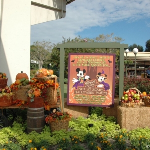 mnsshp20110544