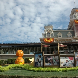 mnsshp20110546