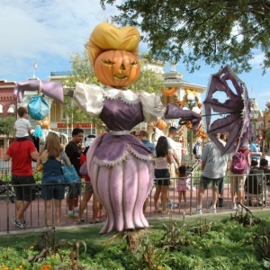 mnsshp20110550