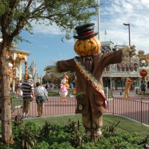 mnsshp20110551