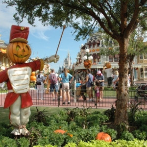 mnsshp20110552