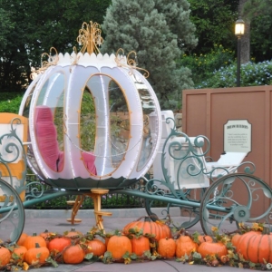 mnsshp20110052