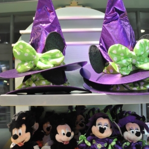 mnsshp20110081