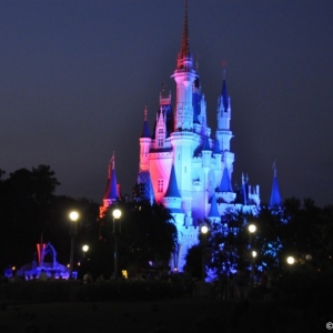 mnsshp20110126