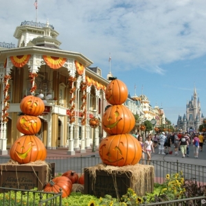 mnsshp20110556