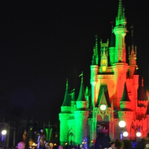 mnsshp20110138