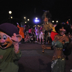 mnsshp20110158