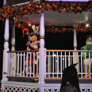 mnsshp20110173