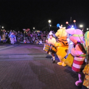 mnsshp20110183