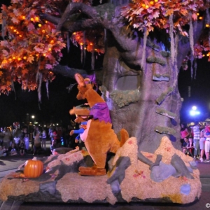 mnsshp20110195