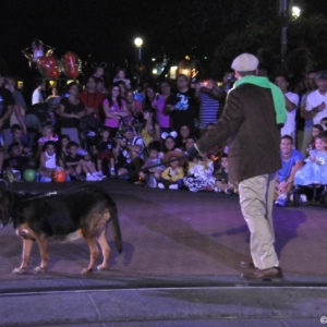 mnsshp20110248