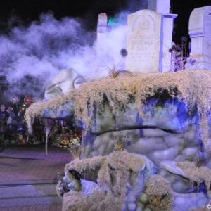 mnsshp20110271