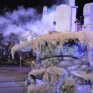 mnsshp20110271