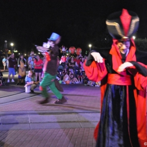 mnsshp20110339