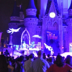 mnsshp20110383