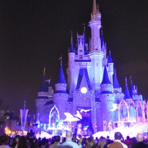 mnsshp20110395