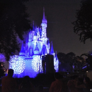 mnsshp20110460