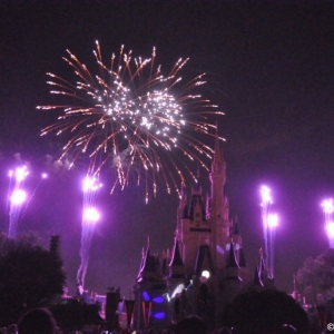 mnsshp20110472