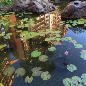 Aulani-Resort-26