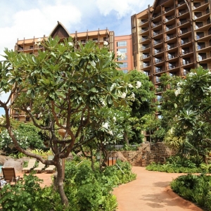 Aulani-Resort-92