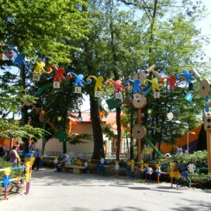 DLP84