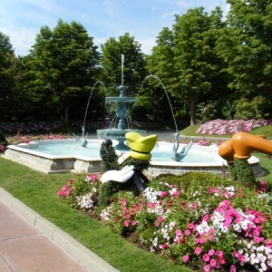 DLP96