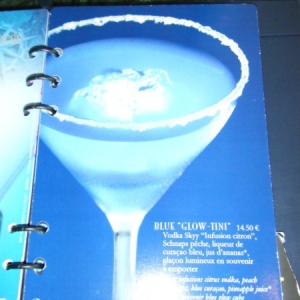 DLP110